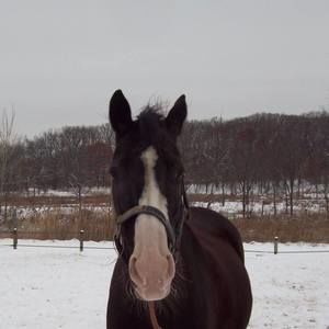 Meet your Posher, Sharon-sherry